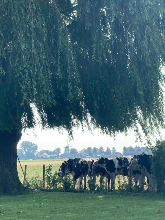 Vakantiehuis Het Uilennest Вейденес Екстер'єр фото
