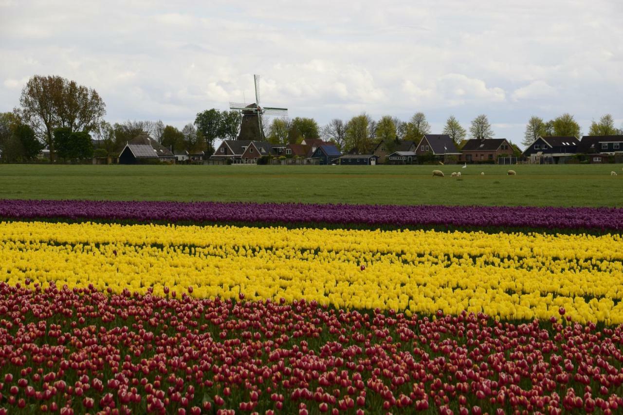 Vakantiehuis Het Uilennest Вейденес Екстер'єр фото